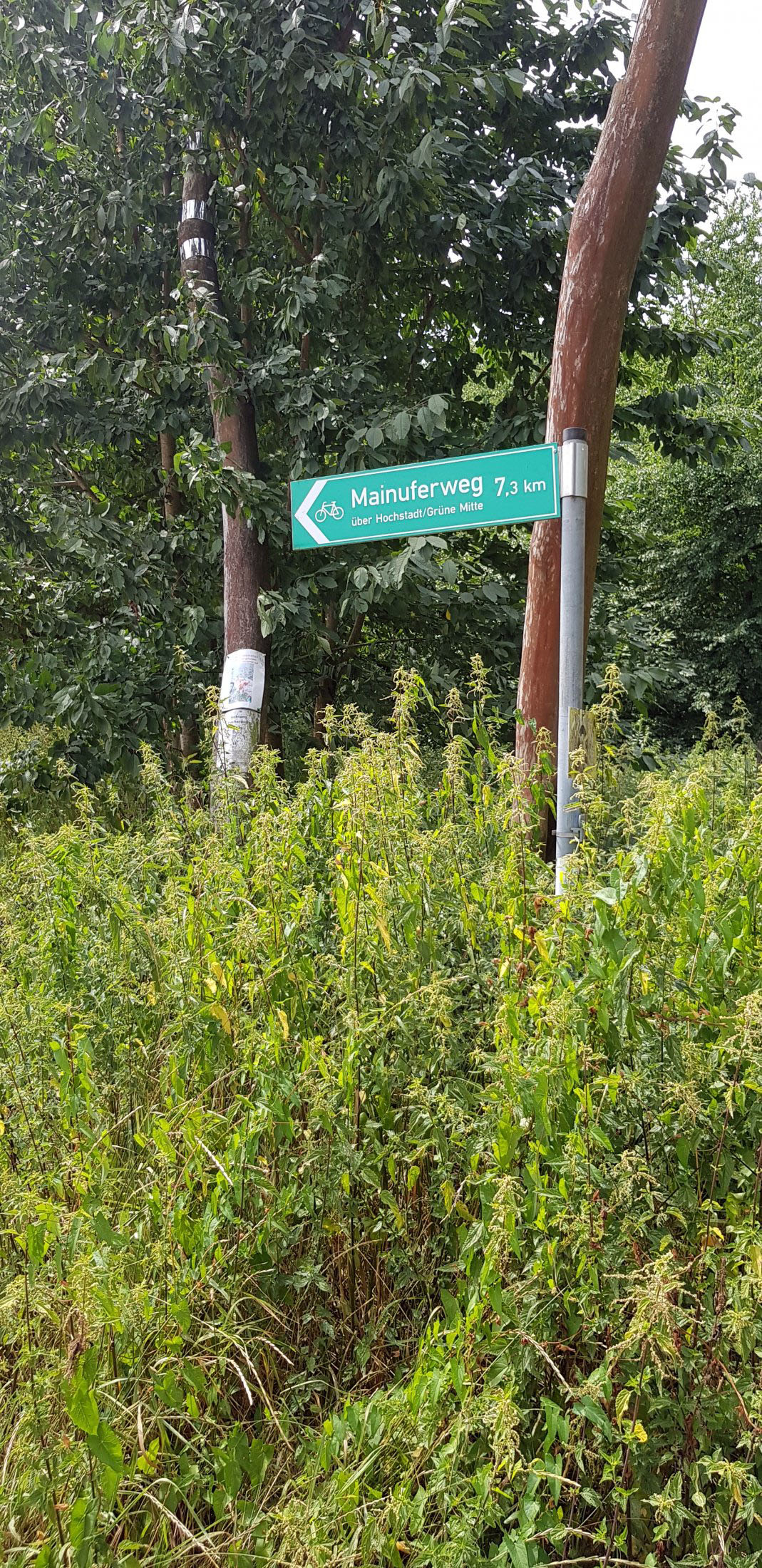 Abbiegen nach rechts zum Mainuferweg (Ü038)