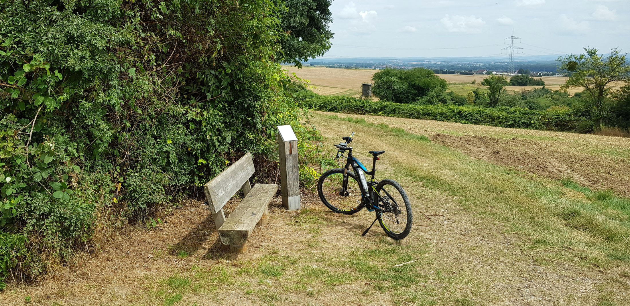 Raststation "Feldgehölz" (Station 9) (Ü041)