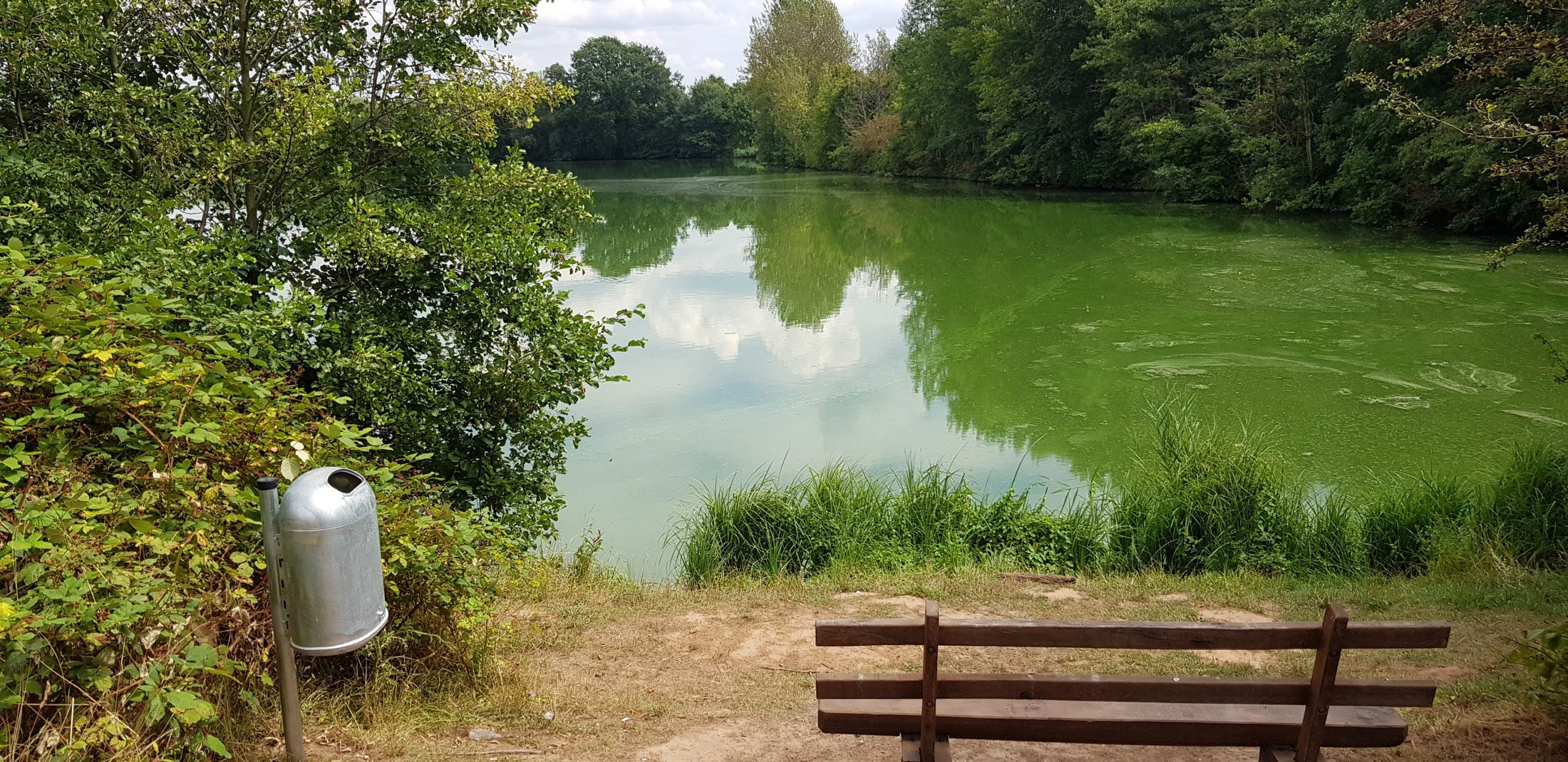 Mülleimer am Weiher (Station 10) (Ü057)