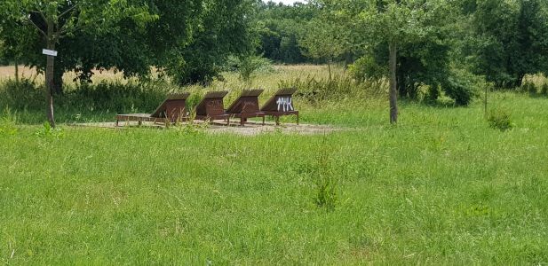 Holzliegen (Station 6) (Ü033)