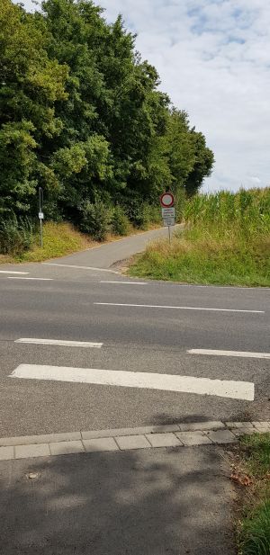 Überquerung Bundesstraße (Ü036)