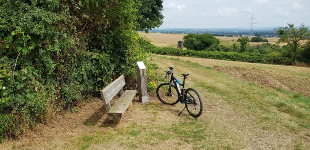 Raststation "Feldgehölz" (Station 9) (Ü041)